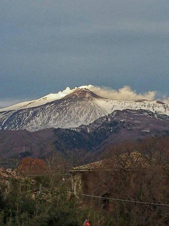 Etna Sweet Home Santa Venerina Oda fotoğraf